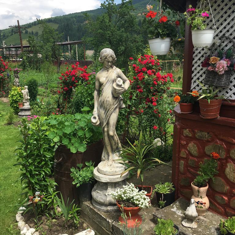 바마 Casa Cu Pitici 게스트하우스 외부 사진